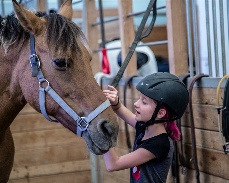 Voltigieren für Kinder: Pferde, Ritter und Ritterspiele